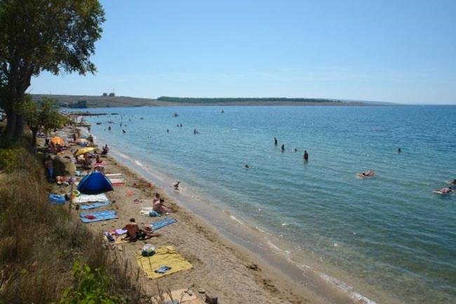 Apartments Mint Povljana - 50M From Sandy Beach Екстер'єр фото