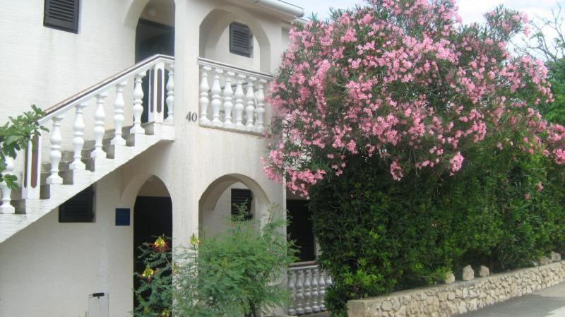 Apartments Mint Povljana - 50M From Sandy Beach Екстер'єр фото