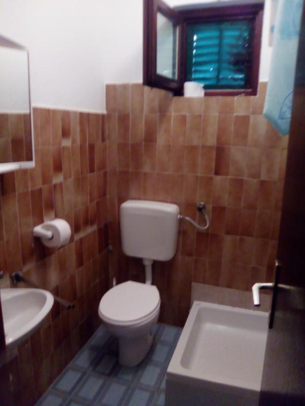 Apartments Mint Povljana - 50M From Sandy Beach Екстер'єр фото